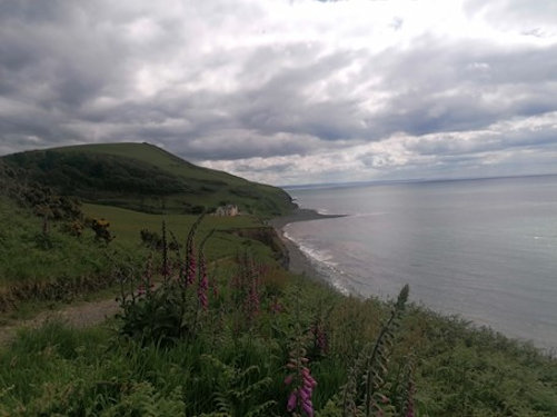 Borth