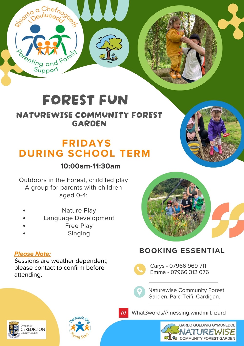 Forest Fun