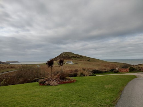 Mwnt