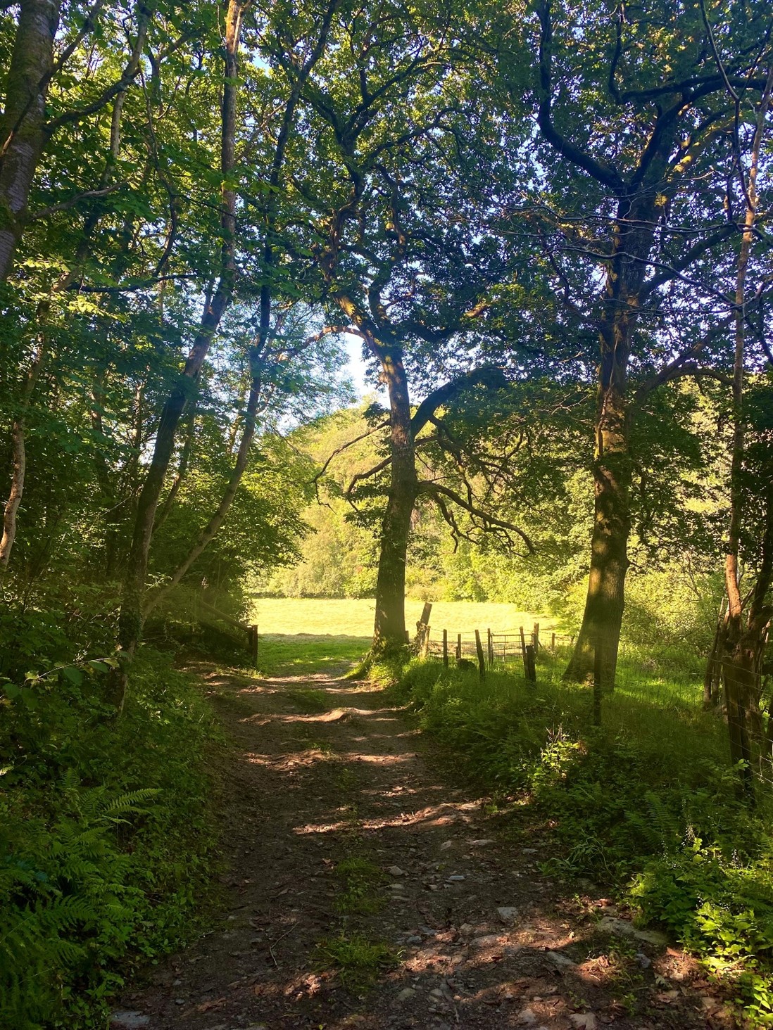 Henllan