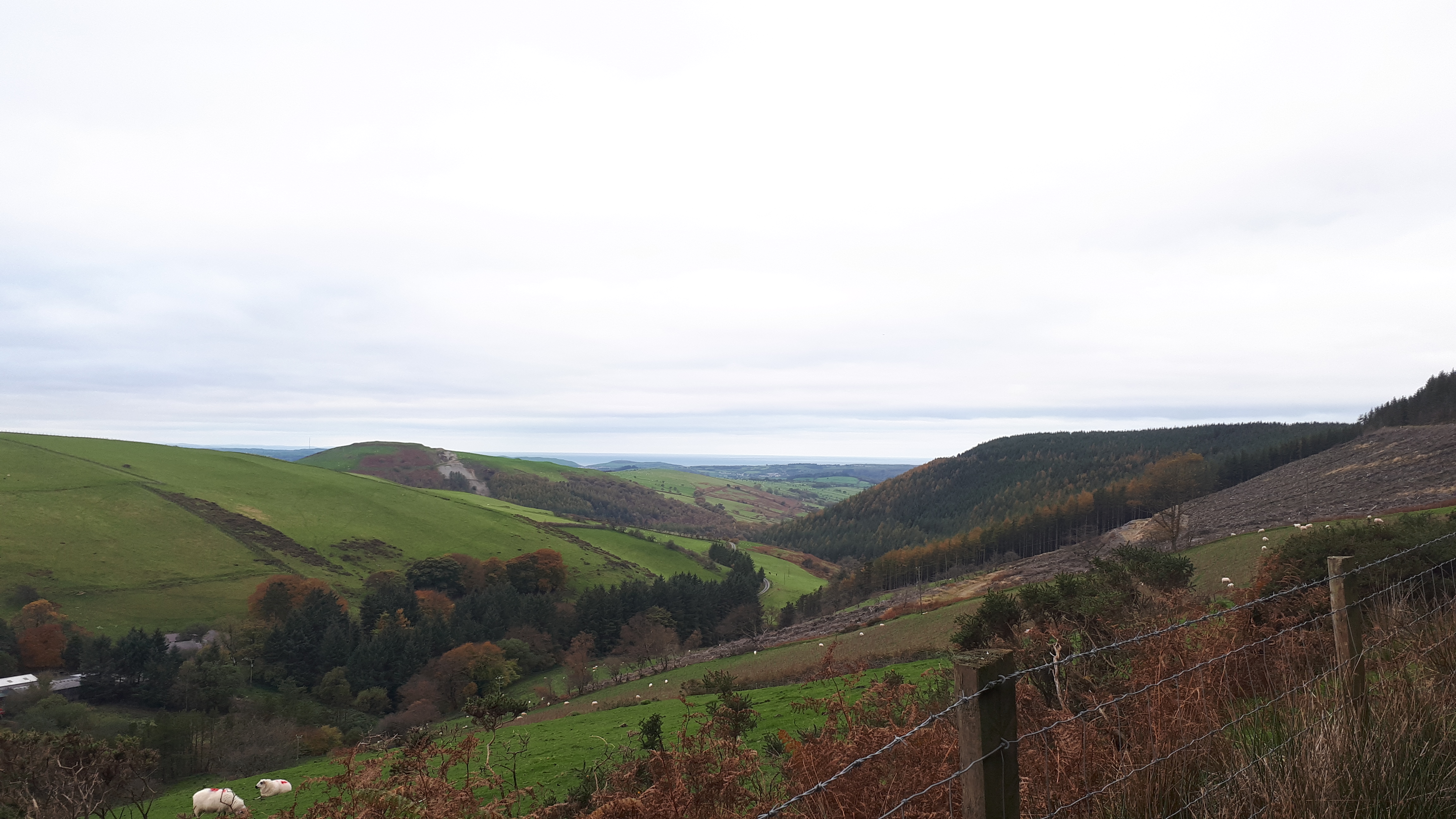 Trefeurig