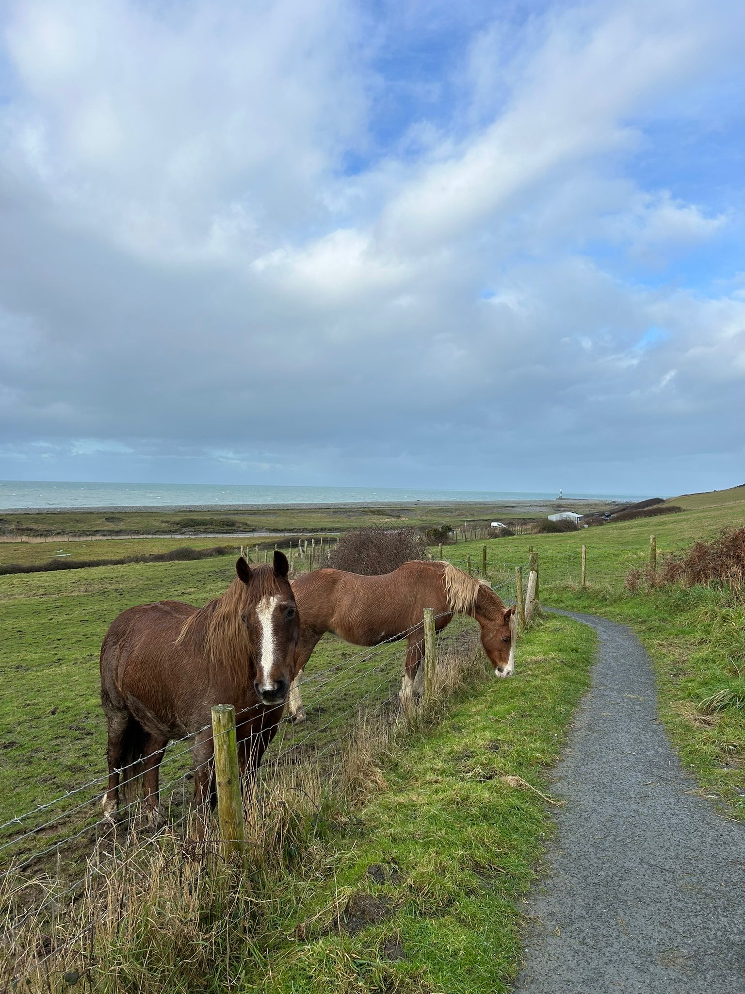 Hen Domen Trail