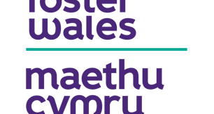 Call for emergency foster carers in Ceredigion