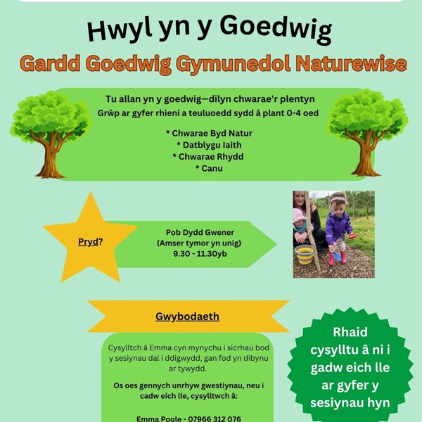 Hwyl yn y Goedwig
