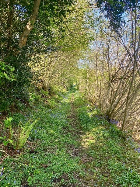 Penrhiwllan