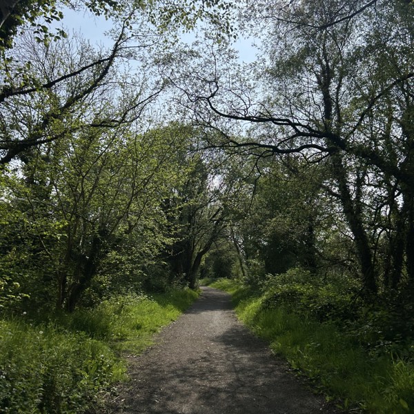 Cylchdaith Llanilar