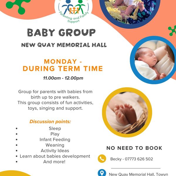 New Quay Baby Group 