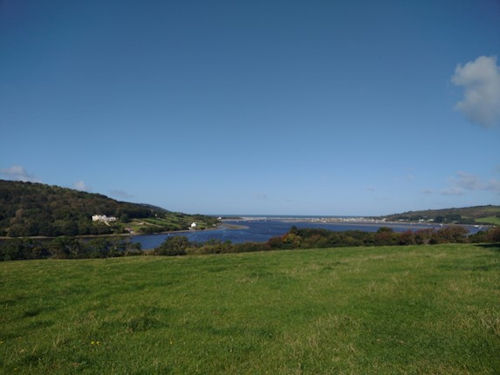 Mwnt - Ferwig