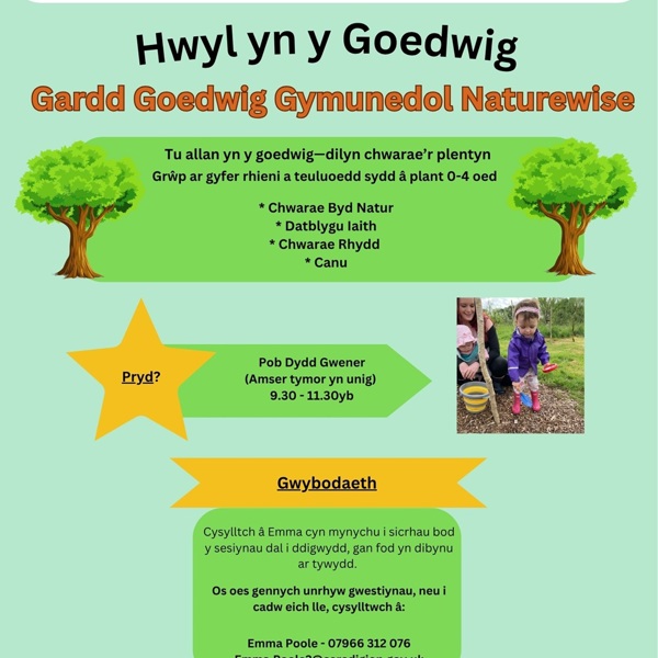 Hwyl yn y Goedwig